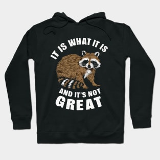 It Is What It Is And It's Not Great, Raccoon Hoodie